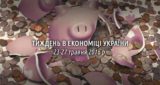 Скарничка-свинка розбира на друзки