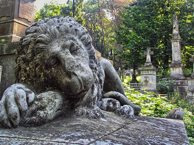 Скульптура сплячого лева на Личаківському кладовищі у Львові